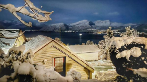 Cozy Cabin